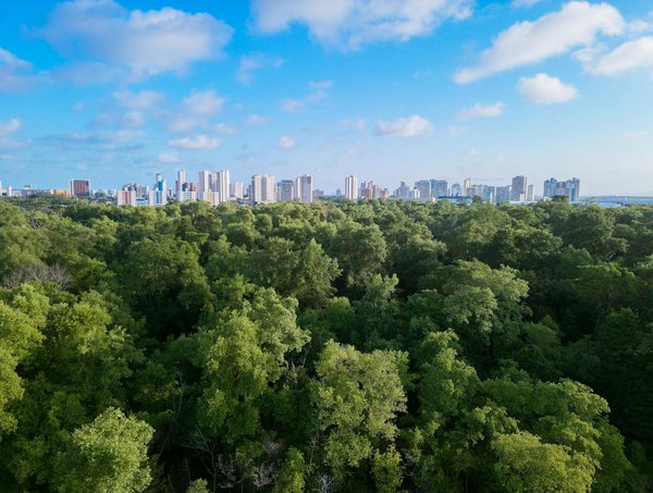 Découvrez les secrets des services de téléphone rose en france