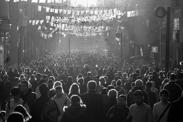 Les Vins d'Exception du Monde : De l'Exubérance à la Perfection