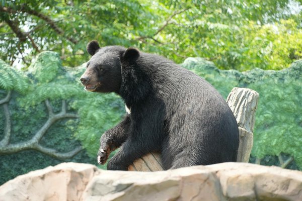Découvrez Comment l'Engagement Social Propulse la Croissance des Entreprises
